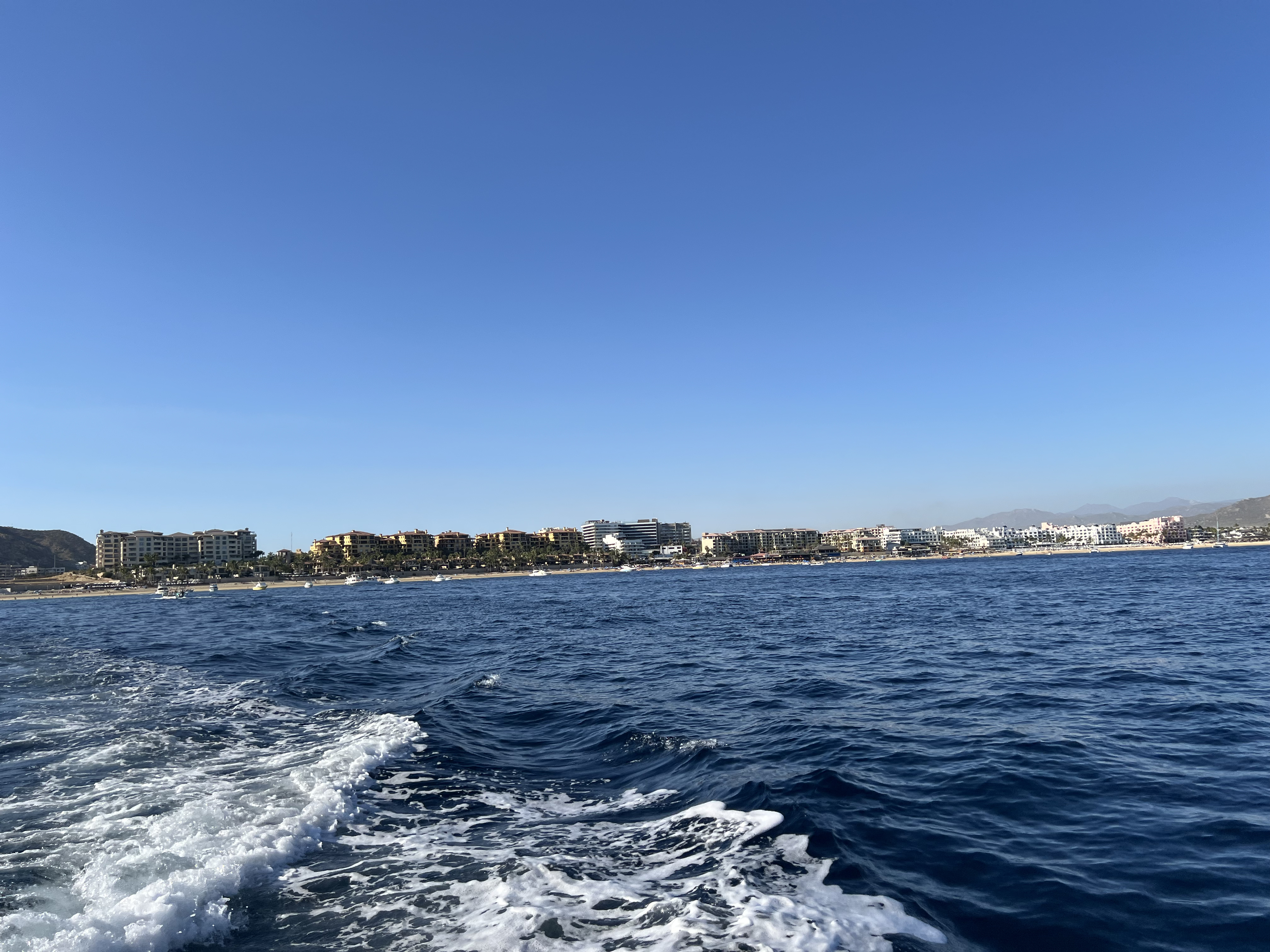 ./2024/13 - Cabo/IMG_4621.jpg